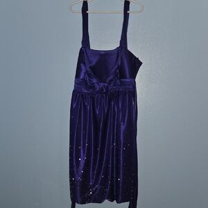 Deb Shimmering Purple Dress Size Medium